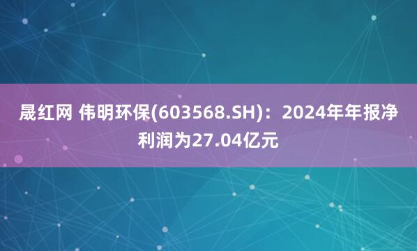 晟红网 伟明环保(603568.SH)：2024年年报净利润为27.04亿元