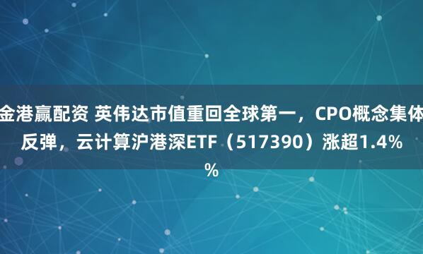 金港赢配资 英伟达市值重回全球第一，CPO概念集体反弹，云计算沪港深ETF（517390）涨超1.4%