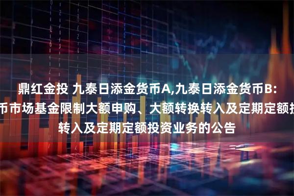 鼎红金投 九泰日添金货币A,九泰日添金货币B: 九泰日添金货币市场基金限制大额申购、大额转换转入及定期定额投资业务的公告