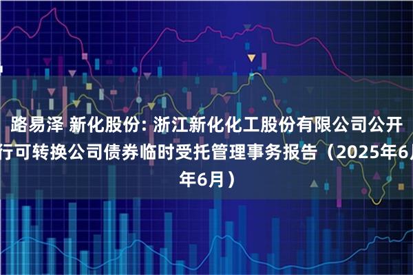 路易泽 新化股份: 浙江新化化工股份有限公司公开发行可转换公司债券临时受托管理事务报告（2025年6月）