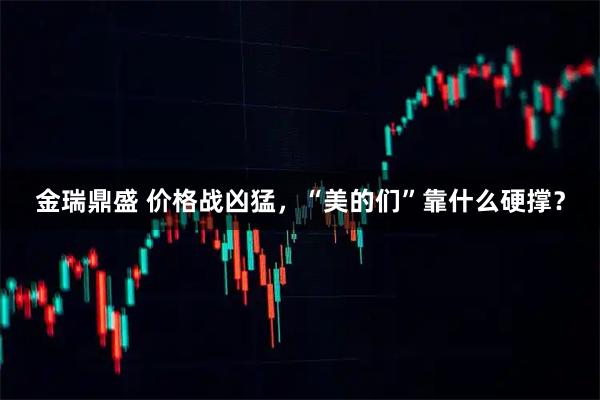 金瑞鼎盛 价格战凶猛，“美的们”靠什么硬撑？